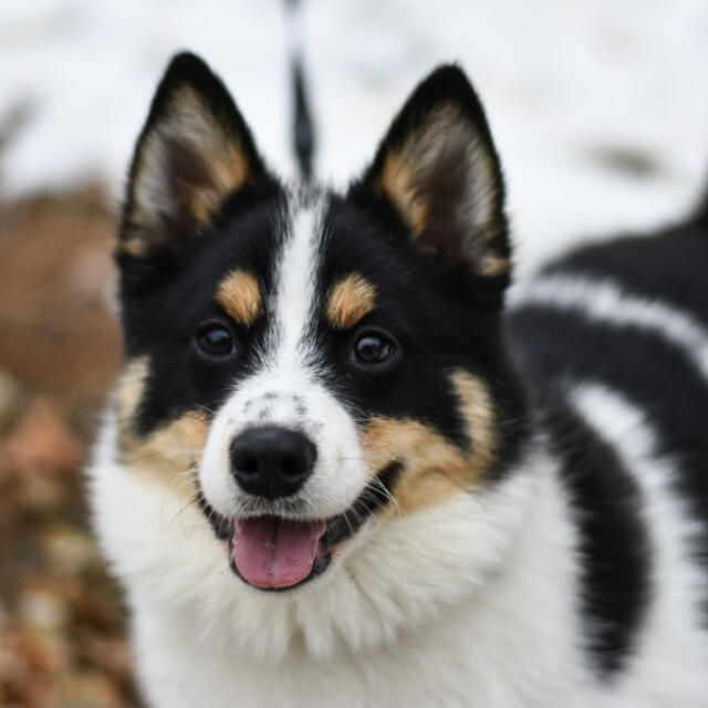 Marie Kolb und Josephine Götze